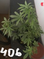 1E6BD90F-DBEF-4588-A251-52AFD2FB5FD2.jpeg
