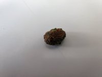 IMG_20210606_080300.jpg
