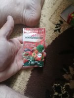 IMG_20210612_183932.jpg