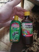 IMG_20210612_183830.jpg