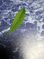 klsV9SJYhm4.jpg