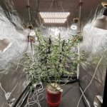 IMG_20210615_201036.jpg