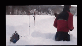 гифки-лось-снег-дикий-тыгыдык-5749352.gif