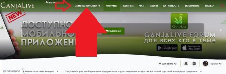 Новый точечный рисунок.jpg