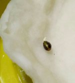 photo_2021-06-23_23-10-10 - Copy.jpg