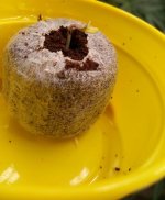 photo_2021-06-25_08-48-49 - Copy.jpg