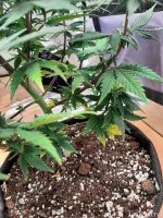 photo_2021-07-01_11-18-53 (2).jpg