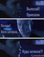 спиздил-сам-Шварцнеггер-Роберт-Патрик-Терминатор-6777263.jpeg