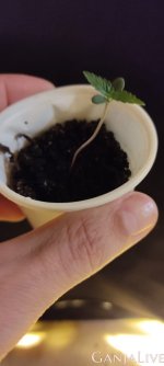 WhatsApp Image 2021-07-13 at 22.11.42 (1).jpeg