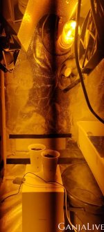 WhatsApp Image 2021-07-13 at 22.11.42 (2).jpeg