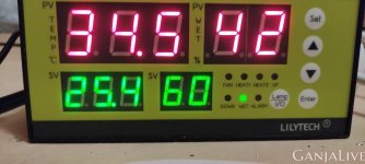 WhatsApp Image 2021-07-13 at 22.11.42.jpeg