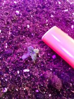IMG-20210715-WA0004[1].jpeg