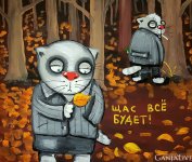 котики любофф.jpg