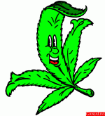 хеппи марья.gif