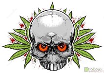 ганжа череп-2.jpg