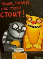 рыжий кот.jpg