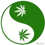 марихуана инь-янь.jpg