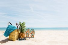 beach-background-with-beach-elements-copyspace-23-2147836084.jpg
