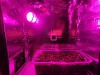 grow_box.jpg