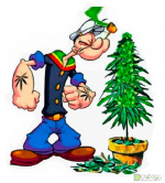 папай ганжа.png