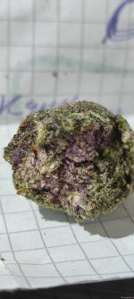 IMG_20201230_111656.jpg