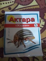 IMG_20210809_201919.jpg