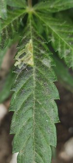 IMG_20210813_123819.jpg