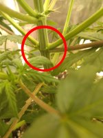 20210820_213144 копия.jpg