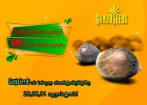 700на500 копия.jpg 700на500 копия.jpg