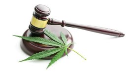 0 oERoUecybqXGSZE3.jpg