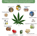 primenenie-konopli-min.png primenenie-konopli-min.png