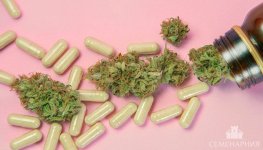 konoplya-i-antibiotiki__mnUr3iJUZ8O8lceQ.jpg