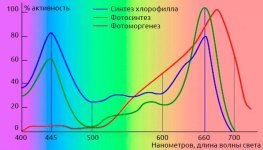 aktivnosti-processov-rasteniya-i-spektra-izlucheniya__4VDYqmnZJjkHW6st.jpg aktivnosti-processov-rasteniya-i-spektra-izlucheniya__4VDYqmnZJjkHW6st.jpg