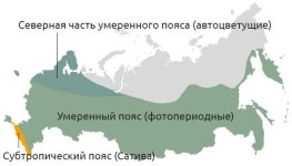 Sorta-konopli-klimaticheskie-poyasa__0Vfs8z3JS6O29CXT.jpg