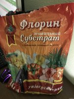 IMG_0822.JPG