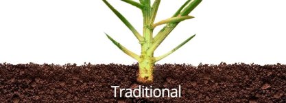 traditional-weed-cannabis__Bc6OzgCHu5YxhF0V.jpg traditional-weed-cannabis__Bc6OzgCHu5YxhF0V.jpg