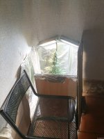 IMG_20211001_120632.jpg