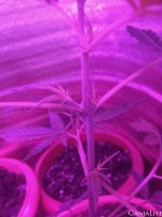 photo_2021-10-03_13-43-11 (3).jpg