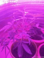 photo_2021-10-03_13-43-11 (2).jpg