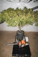 IMG_4077.JPG IMG_4077.JPG