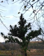 IMG_20211024_194823.jpg