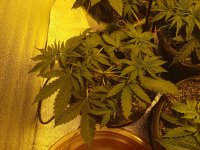 IMG_20211028_171104.jpg
