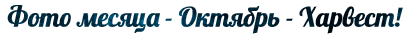 image(21).png