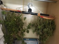 еру иупштттп.jpg