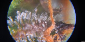 Копия 1638718668251.jpg