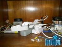CAM00414.jpg