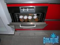 DSCN3707.JPG
