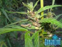 2013-08-31 13.40.17.jpg