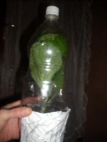 DSCN1578.JPG