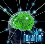 thc-increases-brain-activity-using-medical-cannabis.jpg